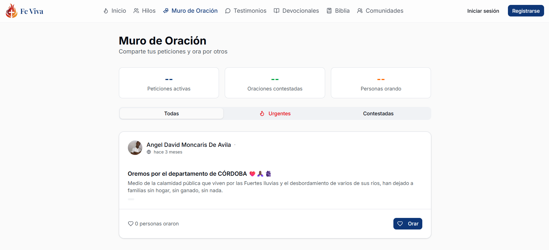 FE VIVA visual 6